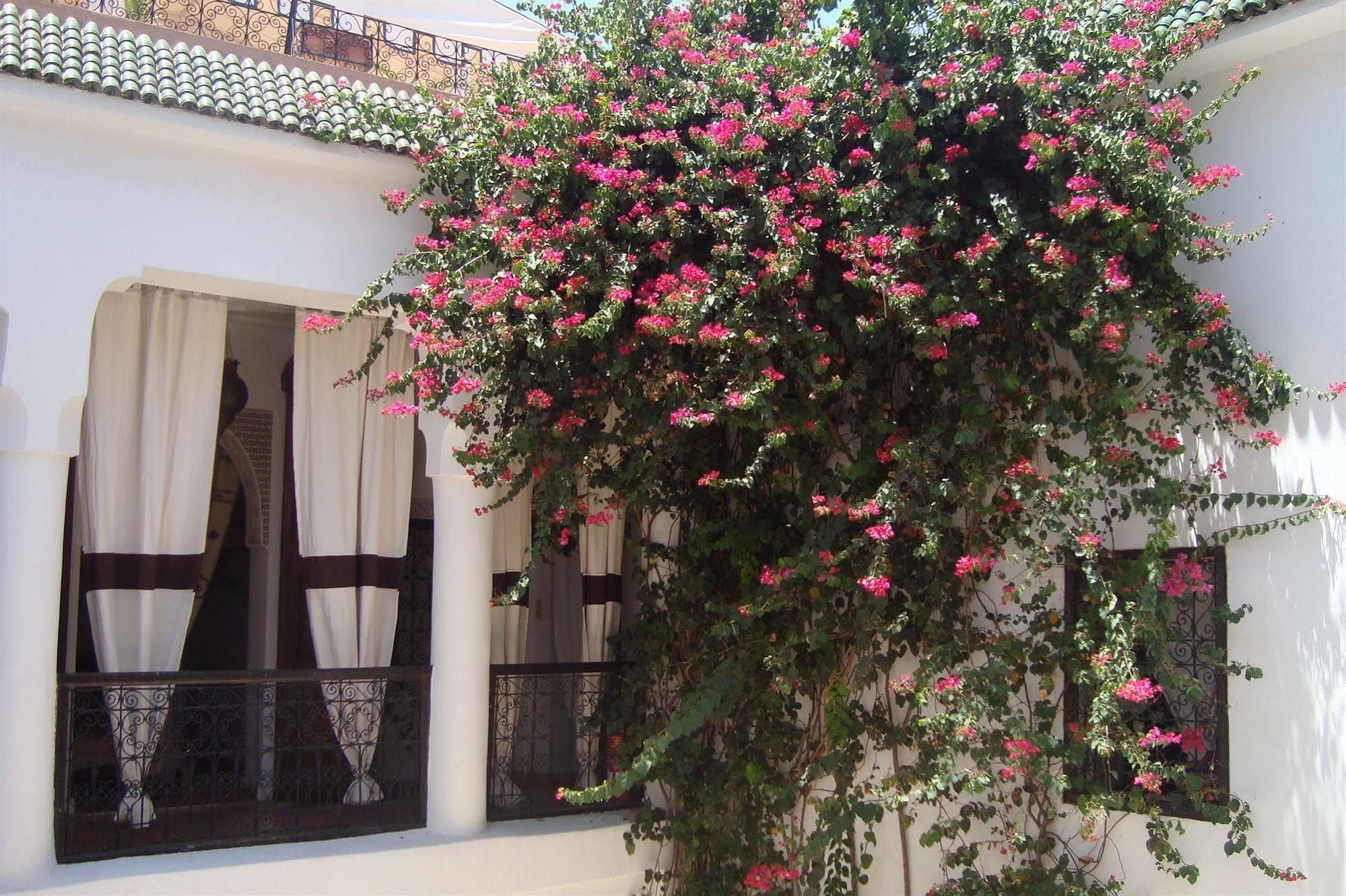 מרקש Riad Noor Charana מראה חיצוני תמונה